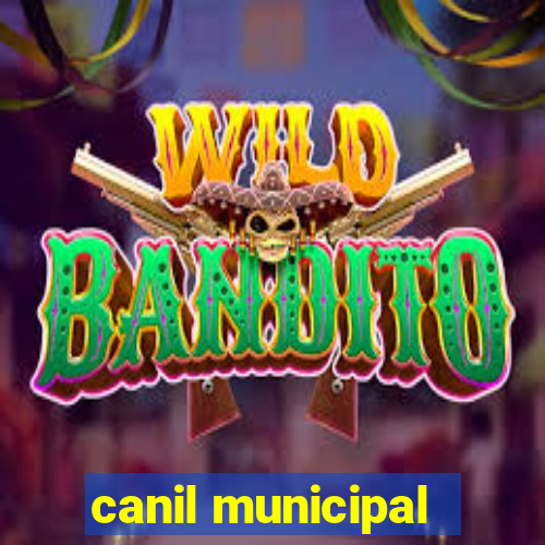 canil municipal